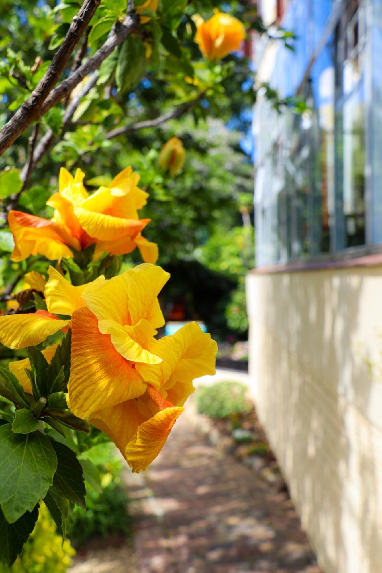 Gasthof Carmichael House Boutique 4*